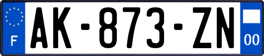 AK-873-ZN