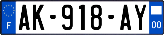 AK-918-AY