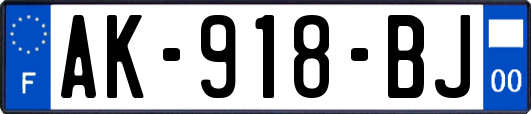 AK-918-BJ