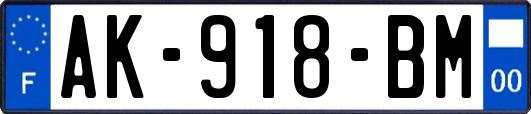 AK-918-BM