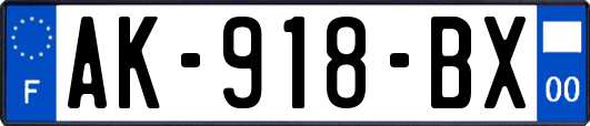 AK-918-BX