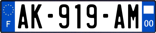 AK-919-AM