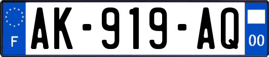 AK-919-AQ