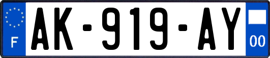 AK-919-AY