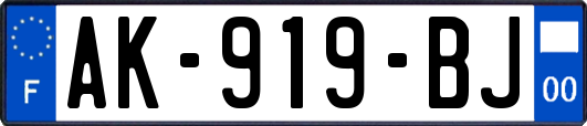 AK-919-BJ