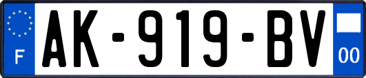 AK-919-BV