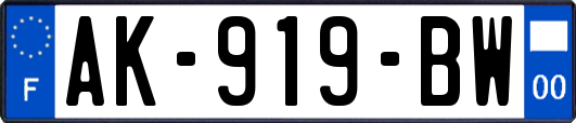 AK-919-BW