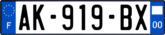 AK-919-BX