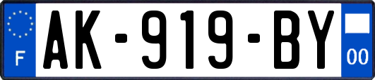 AK-919-BY