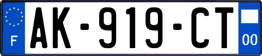 AK-919-CT