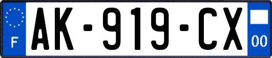 AK-919-CX