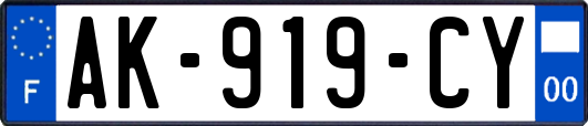 AK-919-CY