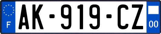 AK-919-CZ