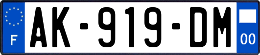 AK-919-DM