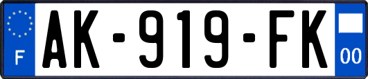 AK-919-FK