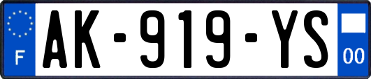 AK-919-YS