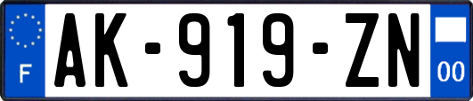 AK-919-ZN