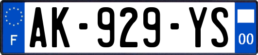 AK-929-YS