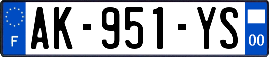 AK-951-YS