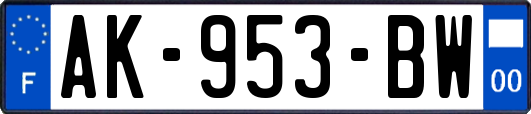 AK-953-BW