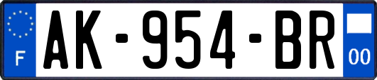 AK-954-BR