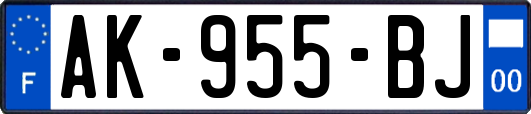 AK-955-BJ