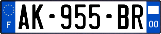 AK-955-BR
