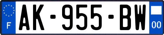 AK-955-BW