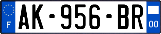 AK-956-BR