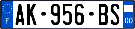 AK-956-BS