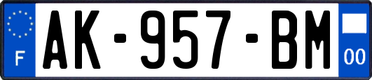 AK-957-BM