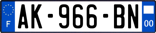 AK-966-BN