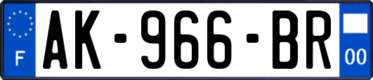 AK-966-BR