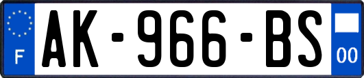 AK-966-BS