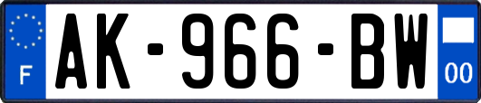 AK-966-BW