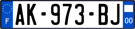 AK-973-BJ