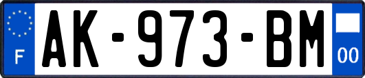 AK-973-BM