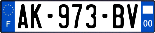 AK-973-BV