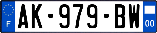 AK-979-BW