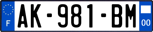 AK-981-BM