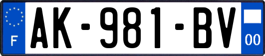 AK-981-BV