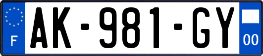 AK-981-GY