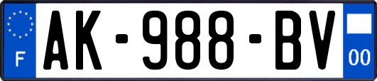 AK-988-BV
