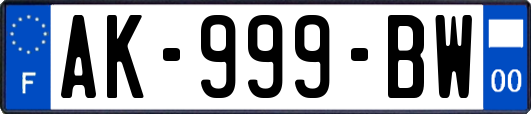 AK-999-BW