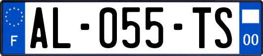 AL-055-TS