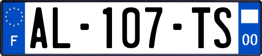 AL-107-TS