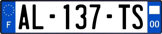 AL-137-TS