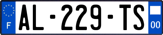 AL-229-TS