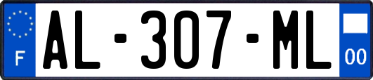 AL-307-ML