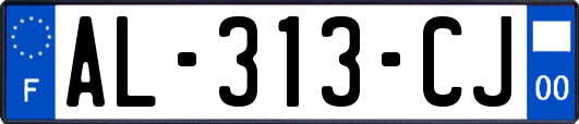 AL-313-CJ